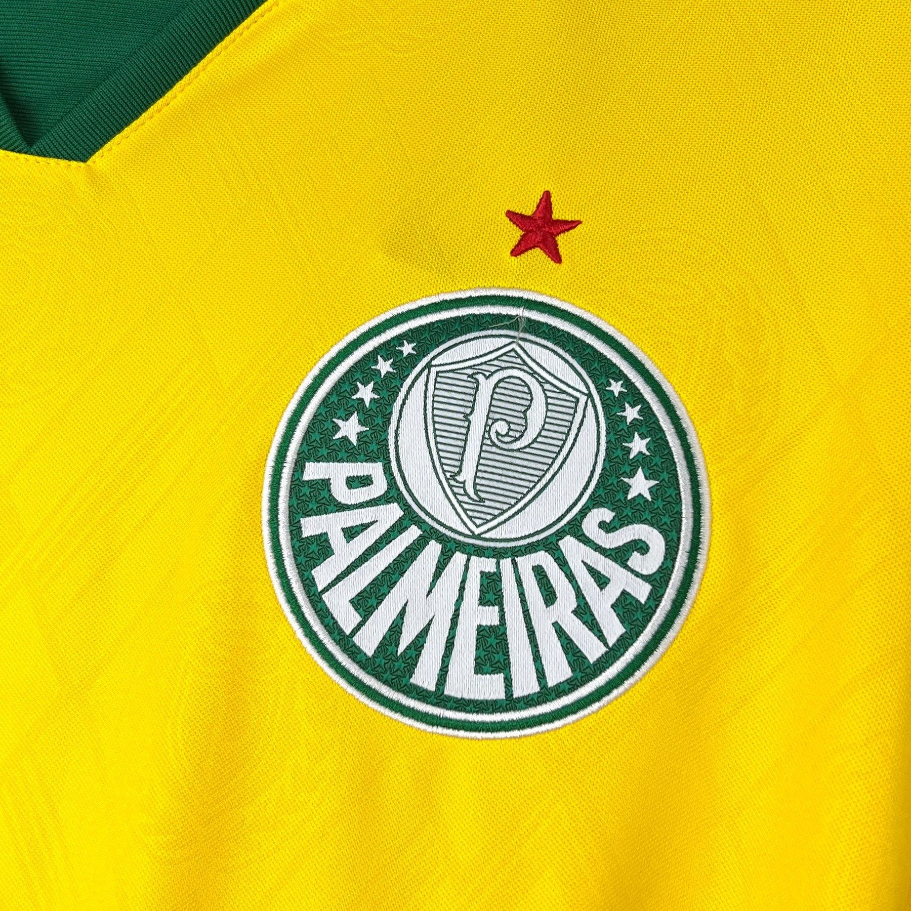 Camisa Palmeiras Puma III 25/26 Torcedor Masculino