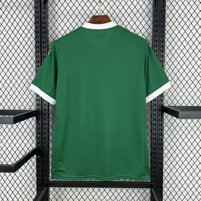 Camisa Puma Palmeiras I 2025 Torcedor