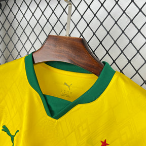 Camisa Palmeiras Puma III 25/26 Torcedor  Masculino