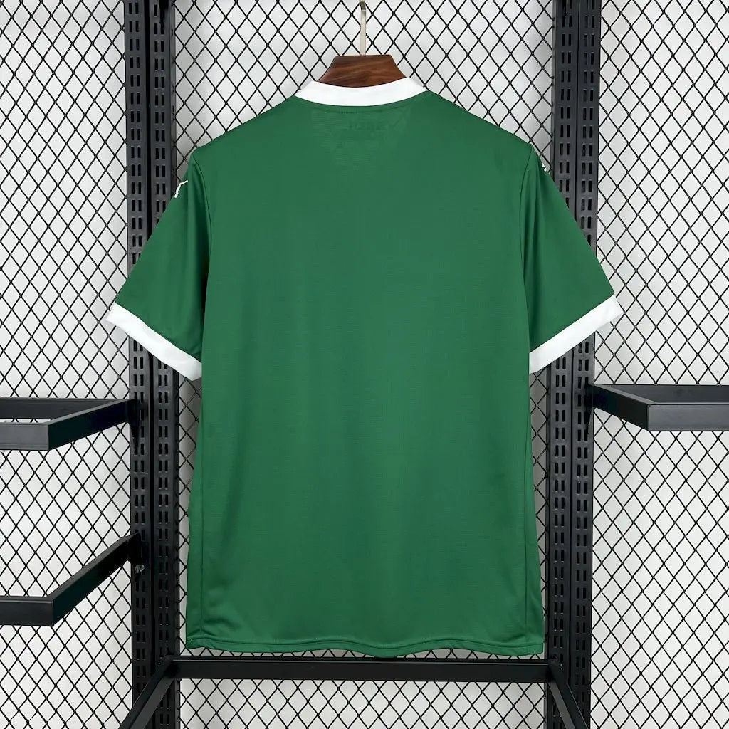 Camisa Masculina  Palmeiras 25/26 Torcedor