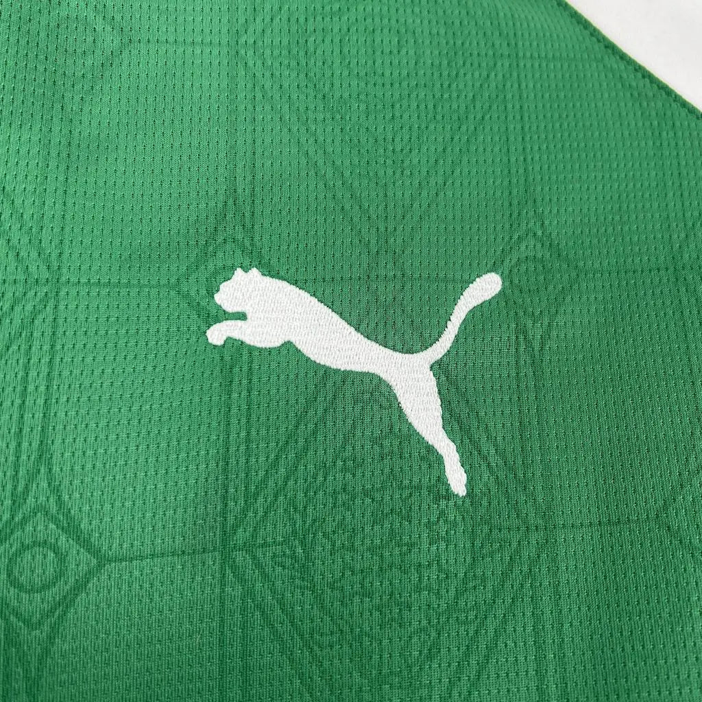 Camisa Masculina  Palmeiras 25/26 Torcedor