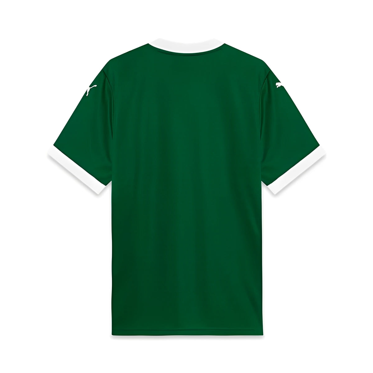 Camisa Masculina  Palmeiras 25/26 Torcedor