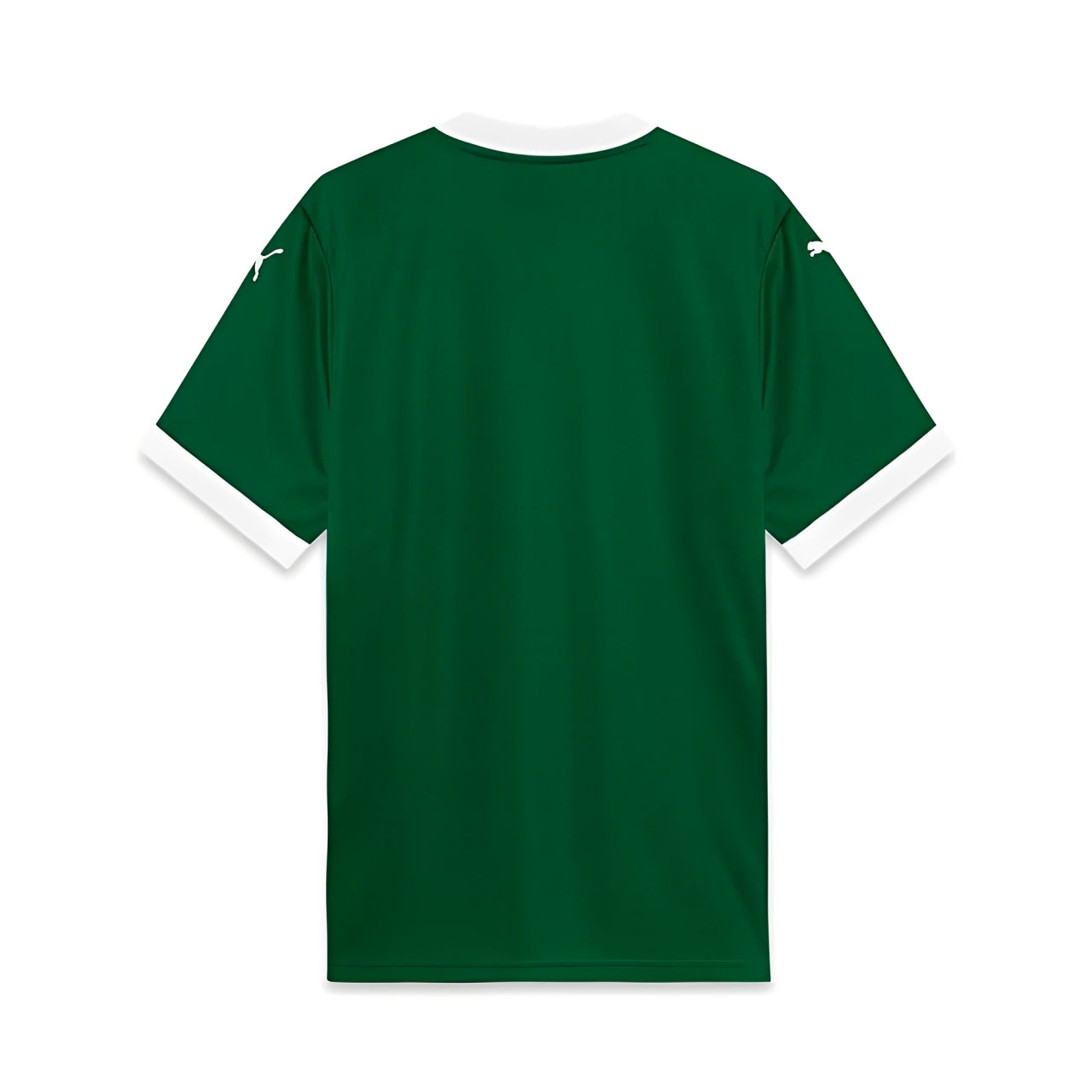Camisa Masculina  Palmeiras 25/26 Torcedor