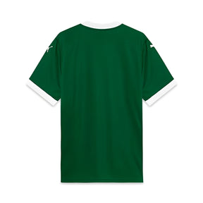 Camisa Masculina  Palmeiras 25/26 Torcedor