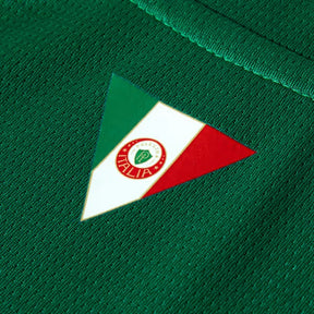 Camisa do Palmeiras I 26/27 Torcedor Masculina